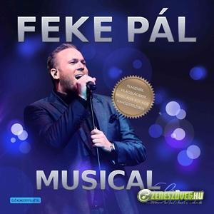 Feke Pál Musical Live 1.